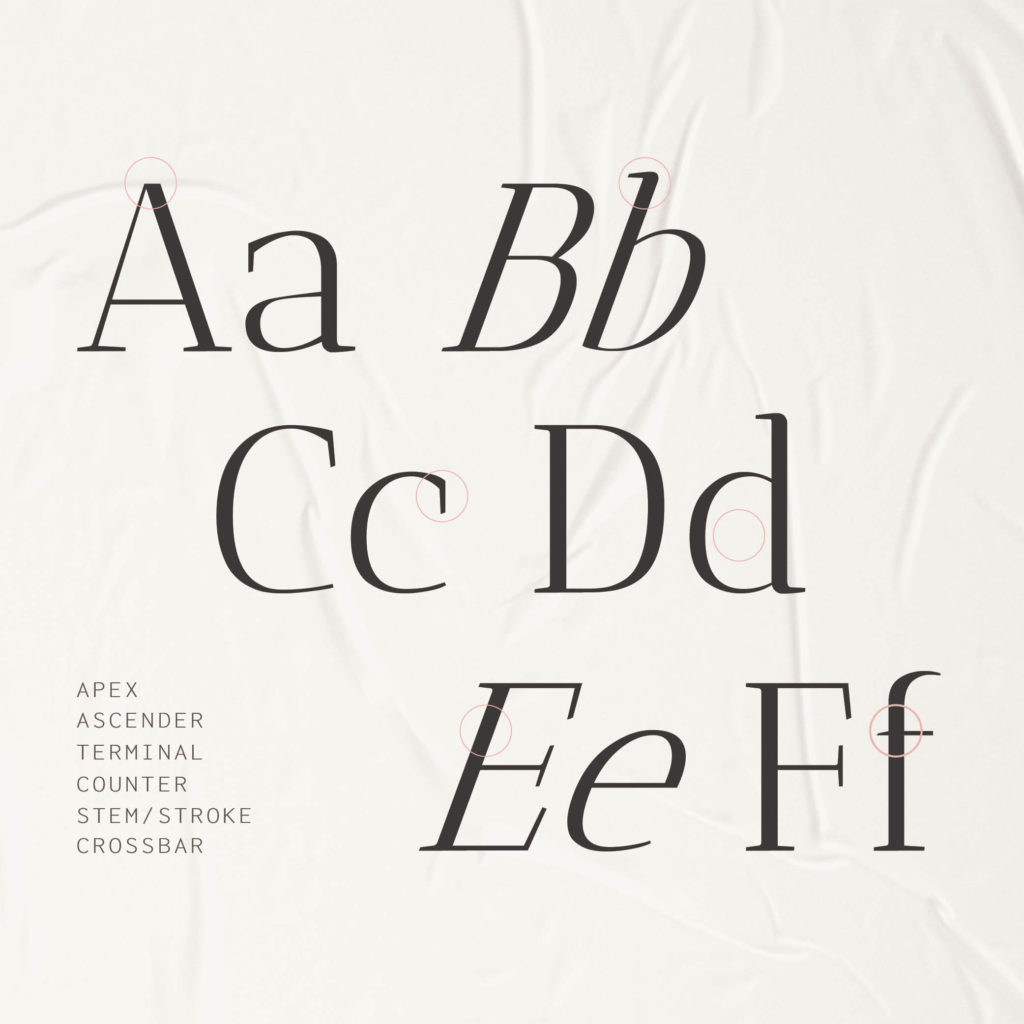 oam-design-co-typography-design-structure